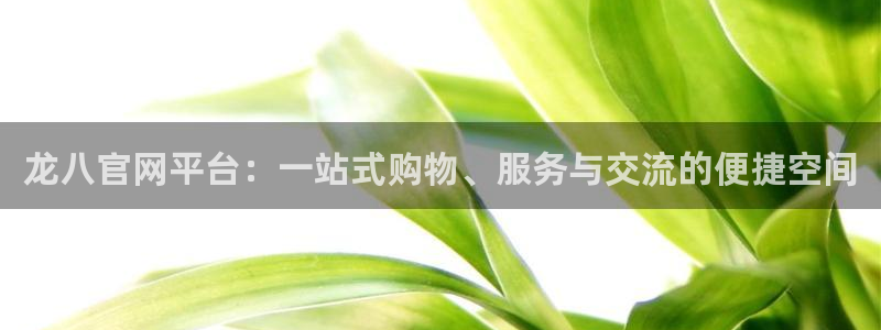 bbin视讯下载并安装：龙八官网平台：一站式购物、服务与交流的便捷空间