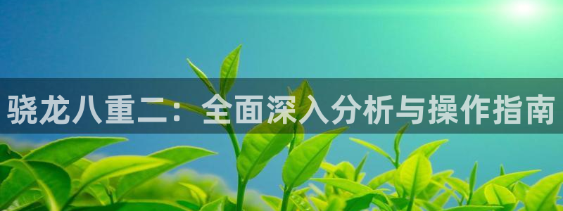 壹号电子娱乐app下载安装：骁龙八重二：全面深入分析与操作指南