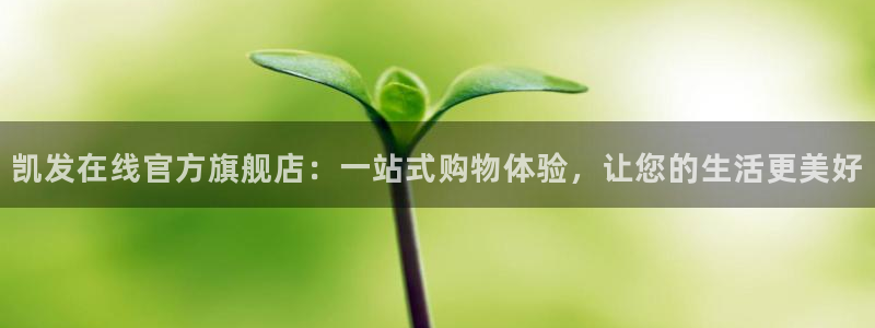 bbin视讯电子游戏：凯发在线官方旗舰店：一站式购物体验，让您的生活更美好