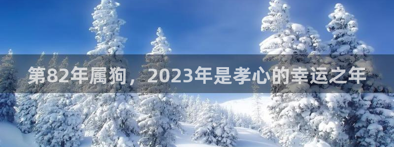 bbin视讯预测pc在线预测网址：第82年属狗，2023年是孝心的幸运之年