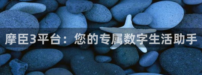 壹号app官网：摩臣3平台：您的专属数字生活助手