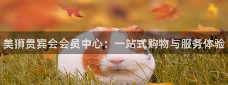 bbin视讯注册网站app：美狮贵宾会会员中心：一站式购物与服务体验
