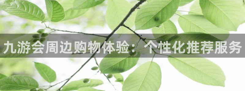 bbin视讯网站：九游会周边购物体验：个性化推荐服务