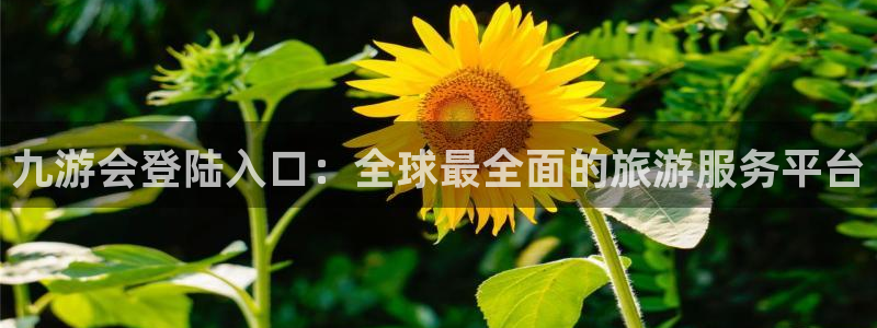 南宫bbin视讯官网版：九游会登陆入口：全球最全面的旅游服务平台