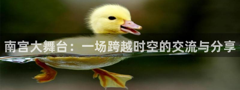 壹号app官网版下载：南宫大舞台：一场跨越时空的交流与分享