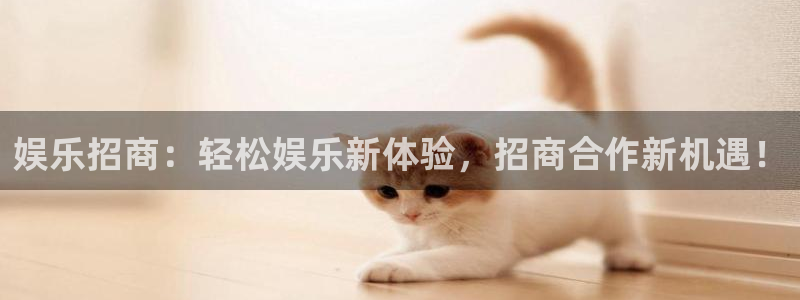 南宫bbin视讯官网版：娱乐招商：轻松娱乐新体验，招商合作新机遇！