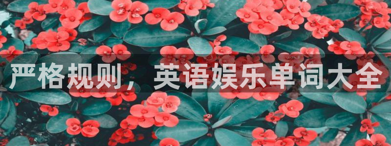 壹号app下载官网娱乐：严格规则，英语娱乐单词大全