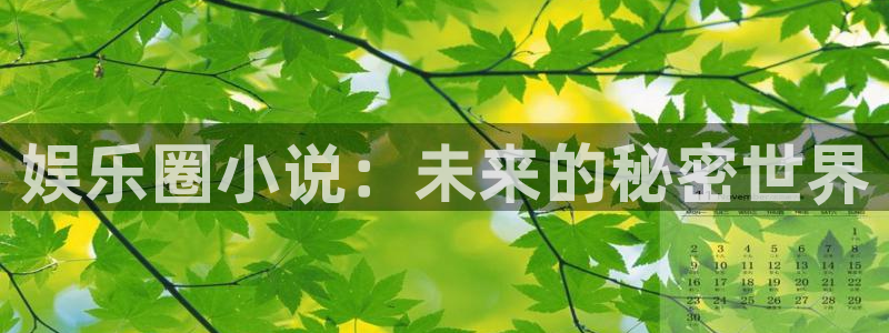 bbin视讯是赌博吗：娱乐圈小说：未来的秘密世界