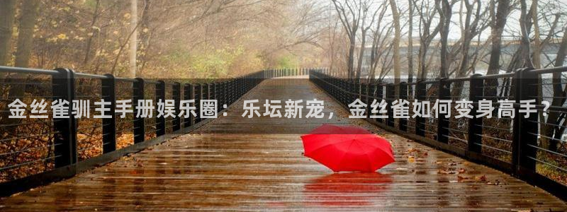 bbin视讯网站平台登录：金丝雀驯主手册娱乐圈：乐坛新宠，金丝雀如何变身高手？