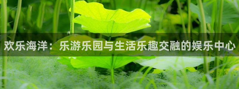 bbin视讯官方网站下载：欢乐海洋：乐游乐园与生活乐趣交融的娱乐中心