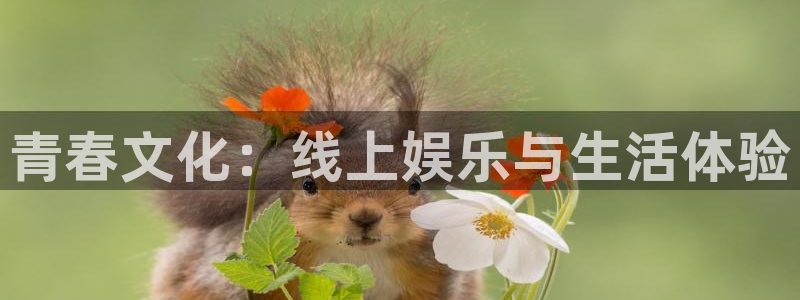 bbin视讯app：青春文化：线上娱乐与生活体验
