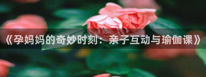 bbin视讯.ccm苹果版：《孕妈妈的奇妙时刻：亲子互动与瑜伽课》