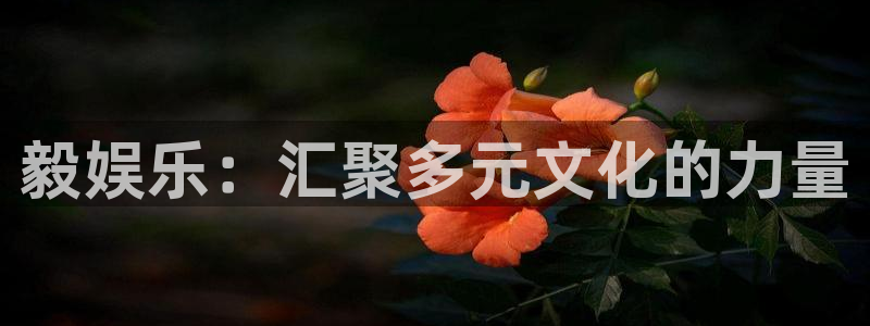 壹号平台app下载安装：毅娱乐：汇聚多元文化的力量